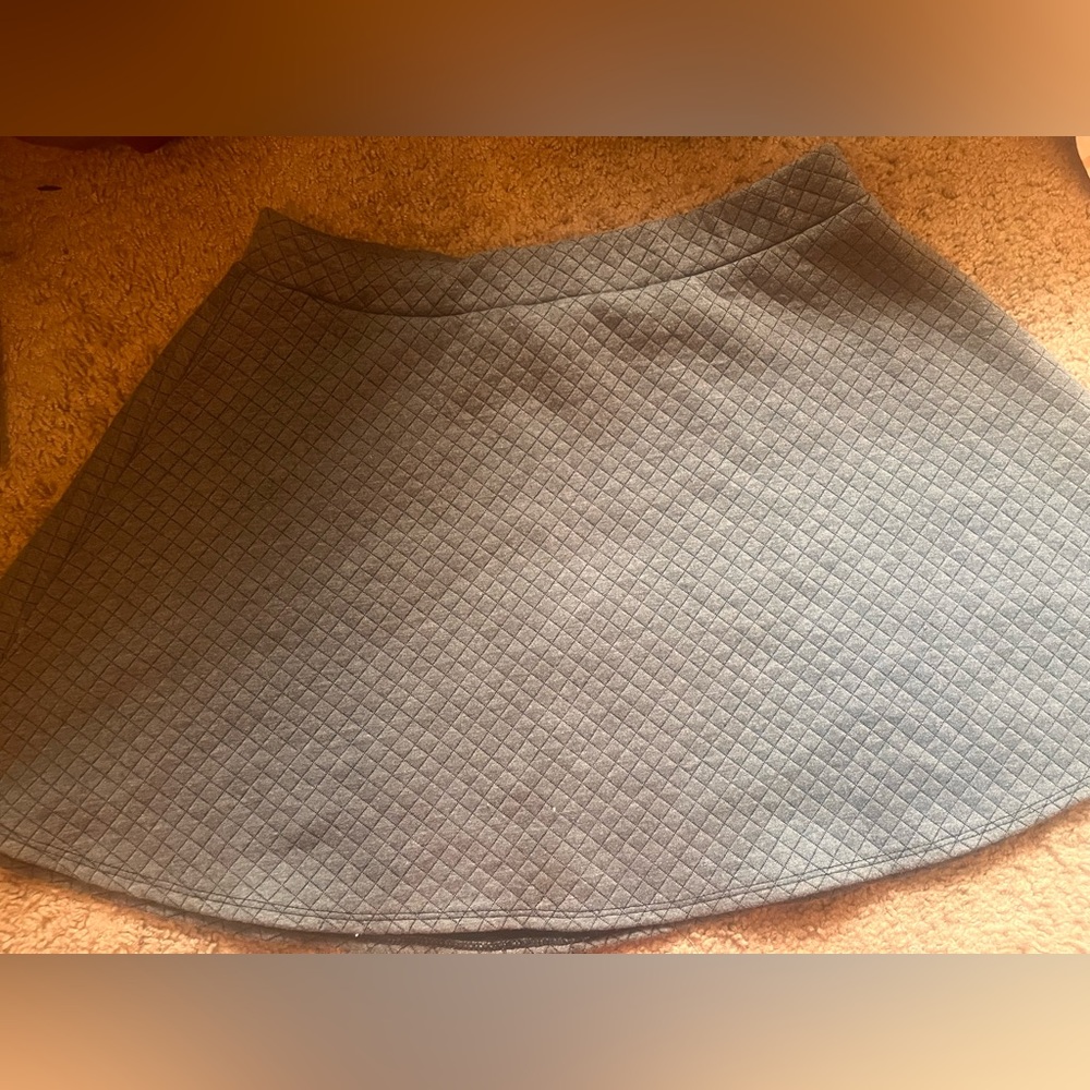 Grey dress skirt. Worn a few times